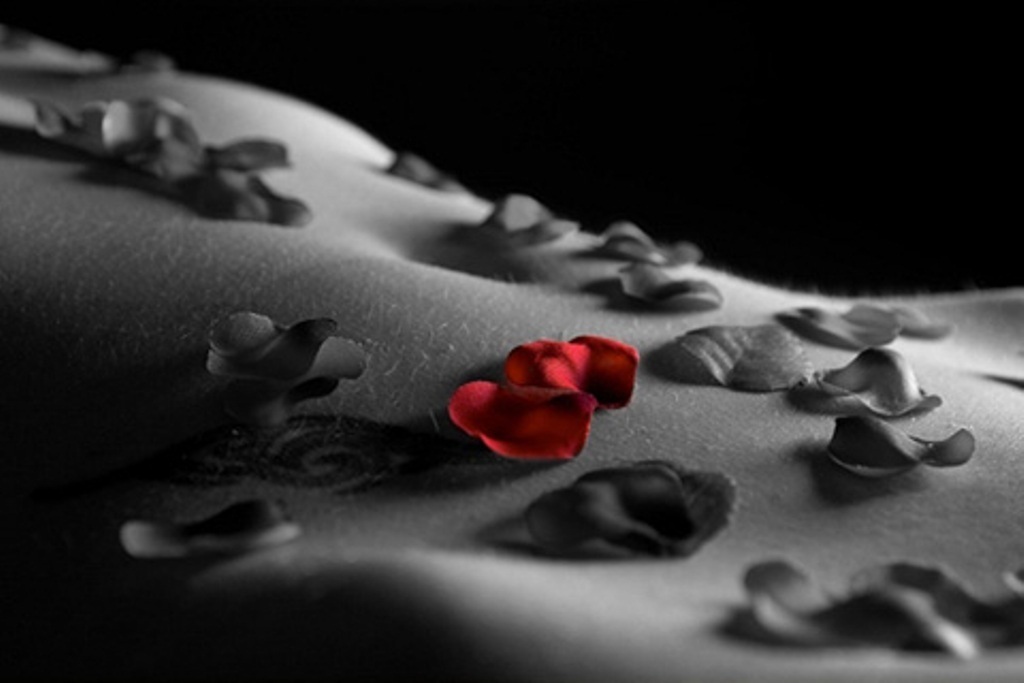 Y love you 7 (4) (1)